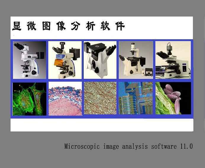 高分子材料在顯微鏡的觀察（國產偏光顯微鏡及K-L成像系統）