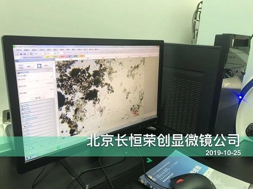 水中浮游生物觀察樣
