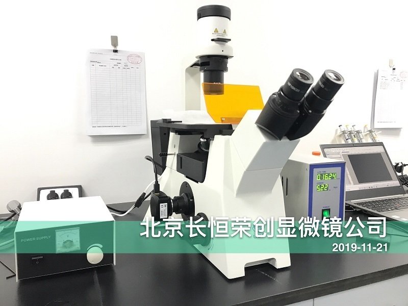 國產倒置熒光顯微鏡安裝于北京農學院