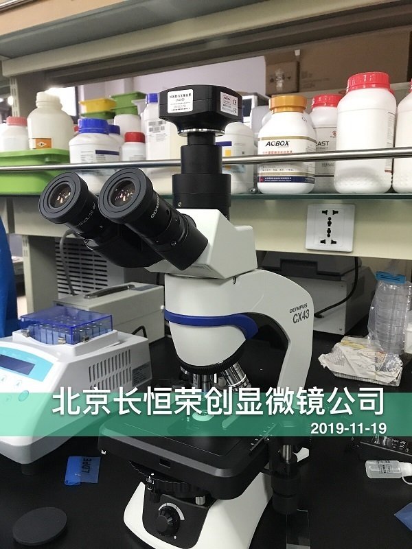 奧林巴斯CX43顯微鏡安裝于北京科技大學2 奧林巴斯CX43顯微鏡安裝于北京科技大學2