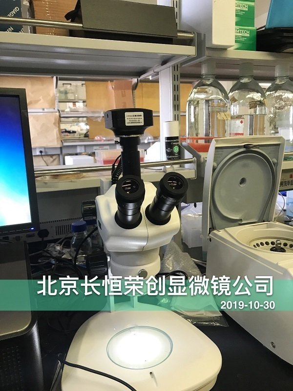 數碼體視顯微鏡安裝于山東大學2