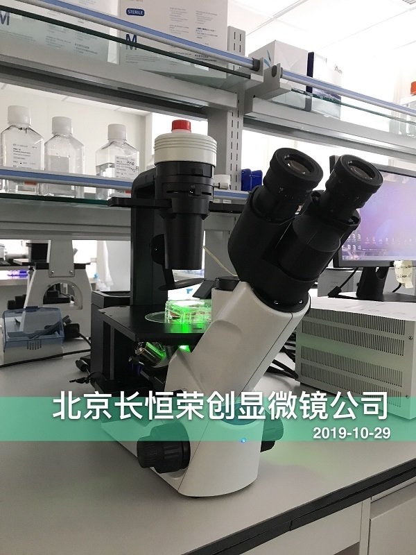 奧林巴斯CKX53熒光顯微鏡安裝于免疫方舟公司2