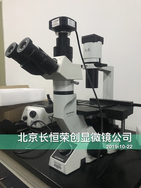 奧林巴斯顯微鏡CKX41升級熒光附件安裝于中國農業大學2