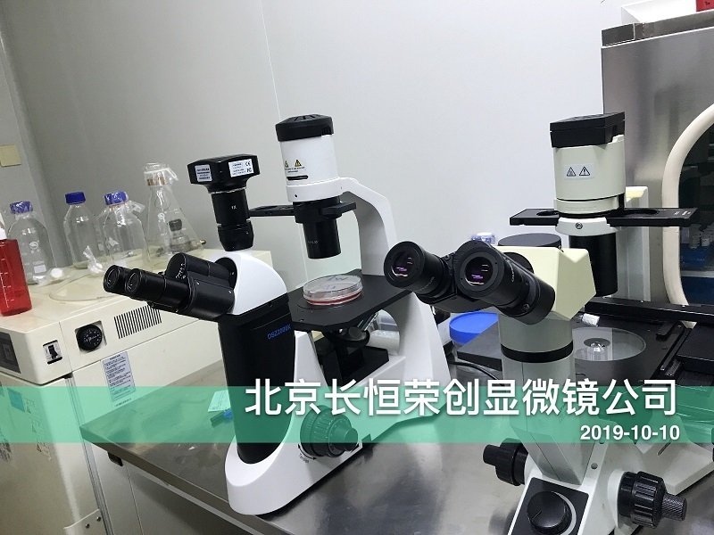 國產倒置顯微鏡安裝于天津大學