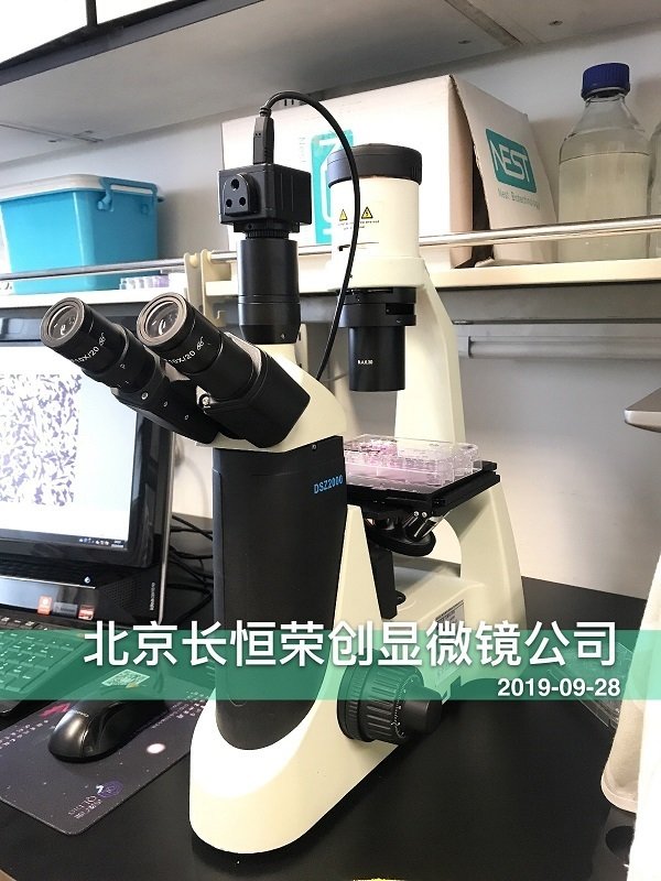 倒置數碼顯微鏡安裝于腫瘤醫院