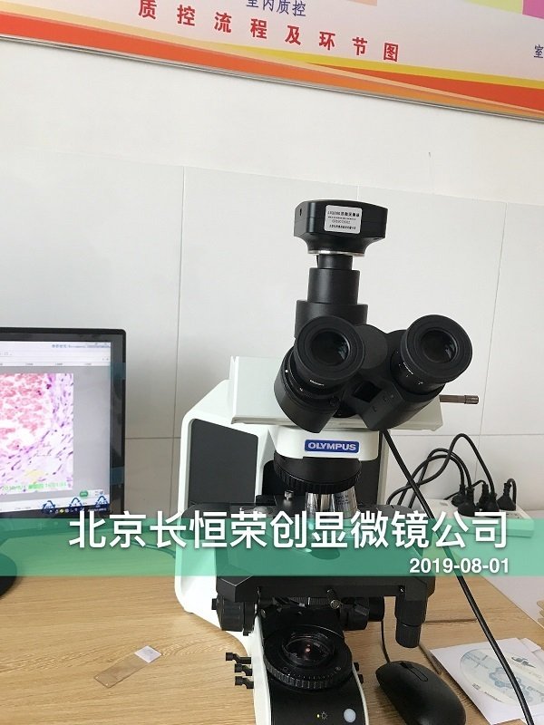 奧林巴斯BX53顯微鏡安裝于北京同仁堂藥廠