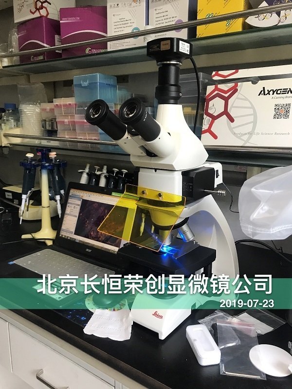 卡熒光顯微鏡安裝于中國農業科學院2