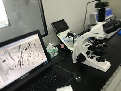 國產數碼生物顯微鏡安裝于河北大學
