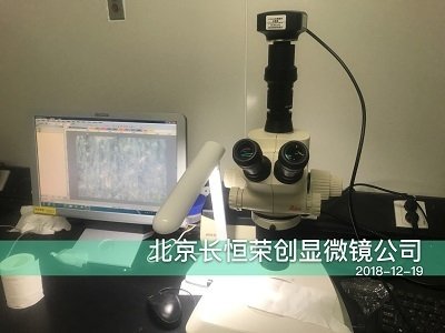 徠卡SApO體視顯微鏡安裝于中科院遺傳所