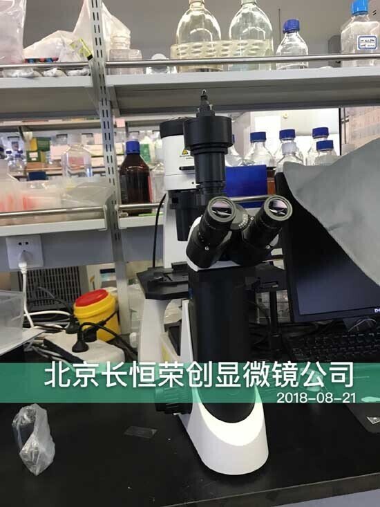 倒置顯微鏡安裝于河北農業大學1