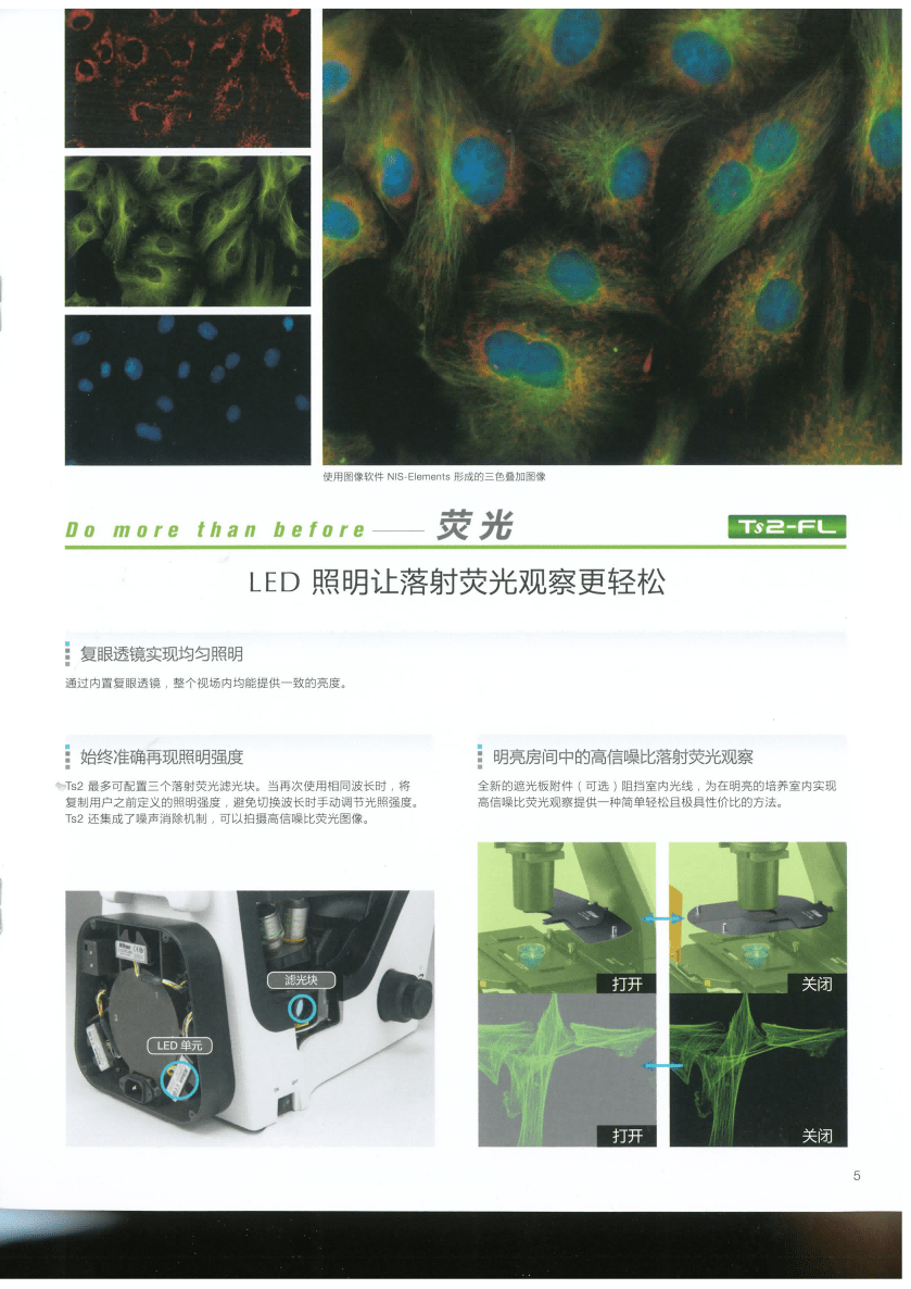 詳情圖