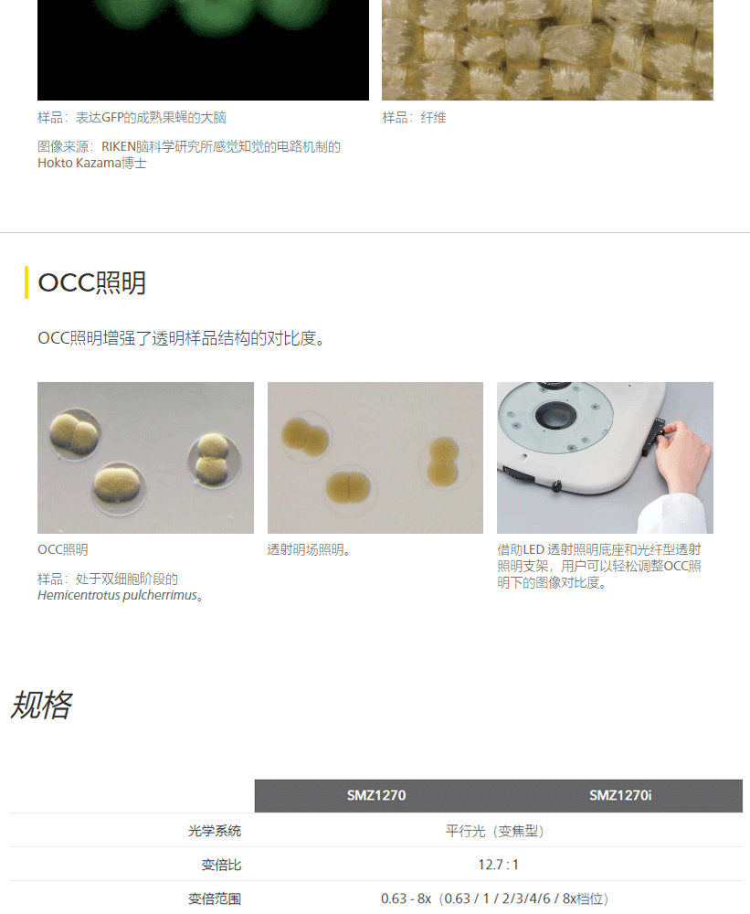 詳情圖