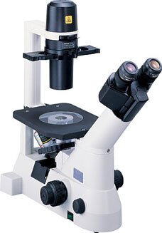 倒置尼康顯微鏡ECLIPSE TS100-TS100-F