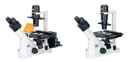 倒置尼康顯微鏡ECLIPSE TS100-TS100-F