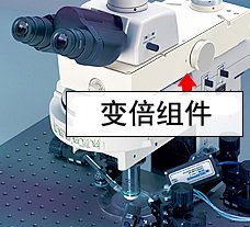 Eclipse FN1電生理顯微鏡-2