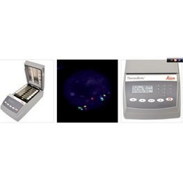 原位雜交儀ThermoBrite