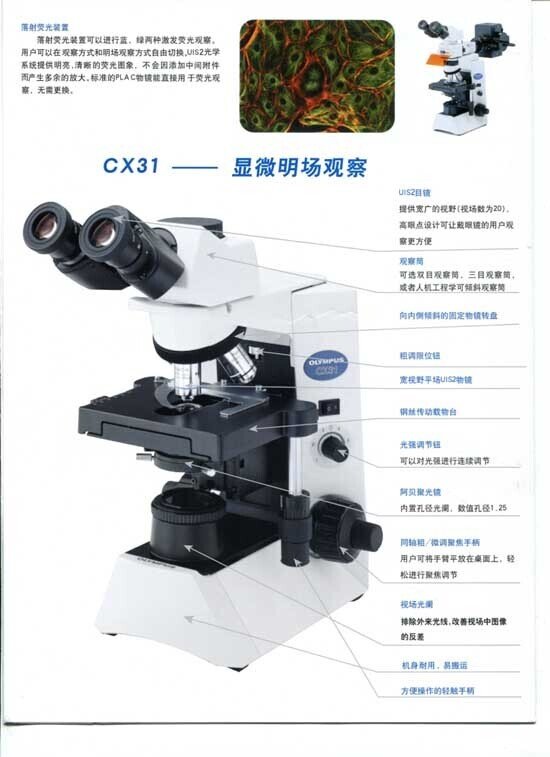奧林巴斯顯微鏡CX41